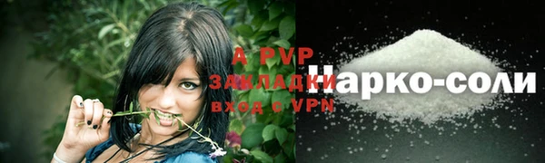 jwh Ростов