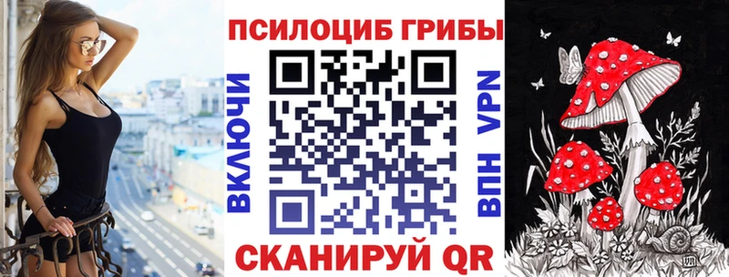 маркетплейс Telegram  Мышкин  Псилоцибиновые грибы Psilocybine cubensis 